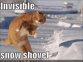 funny-pictures-cat-with-invisible-snow-shovel.jpg